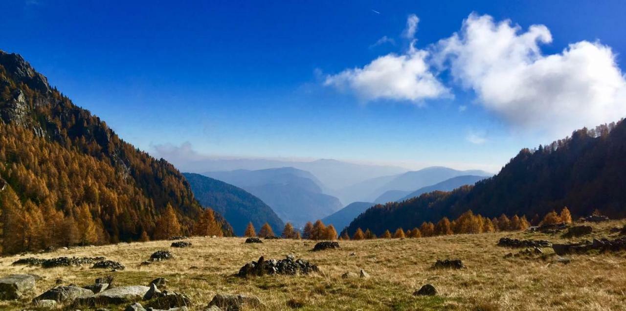 Taxus Hostel Pieve Tesino المظهر الخارجي الصورة