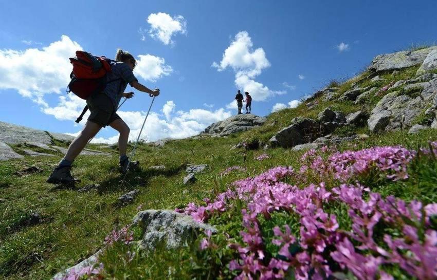 Taxus Hostel Pieve Tesino المظهر الخارجي الصورة